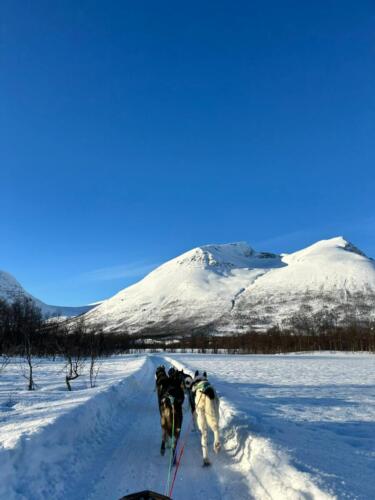 Norvegia – foto 47